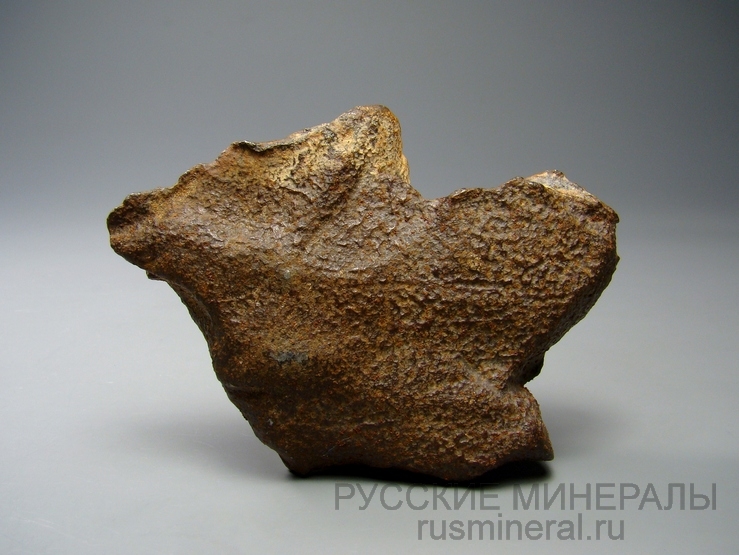 Метеорит Gebel Kamil 